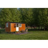 Dawn Chorus Holidays