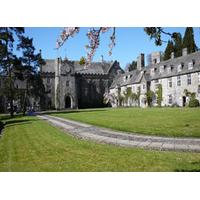 Dartington Hall New Year Break