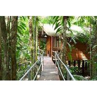 Daintree Wilderness Lodge