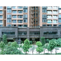 Dan Executive Apartment Guangzhou