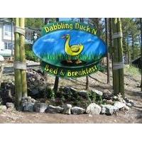 Dabbling Duck \'N Bed & Breakfast