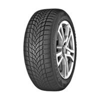 Dayton DW 510 Evo 195/50 R15 82H