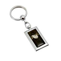 Darwin Keyring