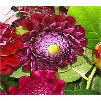 Dahlia Bouquet