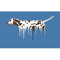 Dalmatian - Blue By Carl Moore