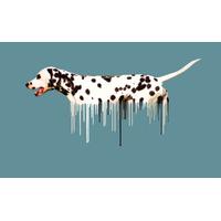 Dalmatian By Carl Moore