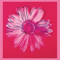 daisy c1982 crimson pink by andy warhol