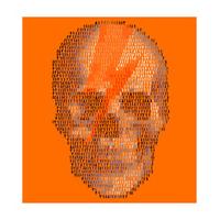 Dancing Skull [out of orange] By...