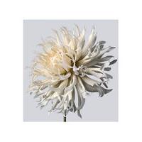 Dahlia 5 by Philip Gatward