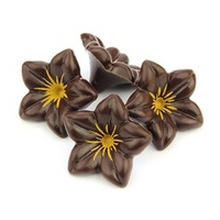 Dark chocolate flowers - Bulk case of 76