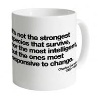 Darwin Responsive to Change Mug