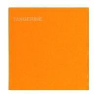 Daler Rowney Tangerine Canford Card A4