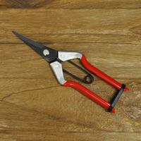 Darlac Vine Scissors