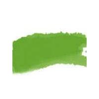 daler rowney fw acrylic artists inks 295ml light green each