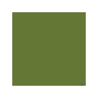Daler-Rowney Georgian Oil Colour 75ml - Sap Green