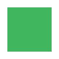 Daler-Rowney Georgian Oil Colour 75ml - Permanent Light Green.