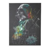 Darth Vader Canvas Print (W)60cm (H)80cm