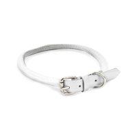 Dapper Dogs Round Leather Collar White