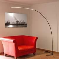 Danua LED arc floor lamp in black