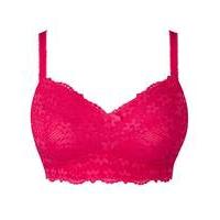 Daisy Lace Non Wired Hot Pink Bralette