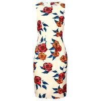 DARLING Talia Floral Dress