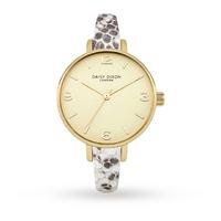 daisy dixon ladies sophia watch