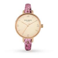 daisy dixon ladies sophia watch