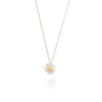 Daisy London 10mm Daisy Necklace