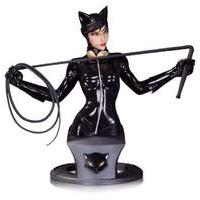 Dc Comics Super Heroes Catwoman ...