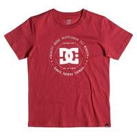 DC Rebuilt 2 Kids T-Shirt - Chili Pepper