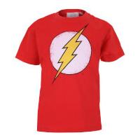 DC Comics Boys\' The Flash Distress Logo T-Shirt - Red - 9-10 Years