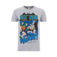 DC Comics Men\'s Batman and Robin T-Shirt - Grey - S