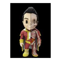 DC Comics XXRAY Figure Wave 5 Sh...