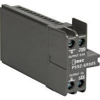 DC/DC converter (module) Idec IDEC 12 Vdc 1 A 11 W 2 x