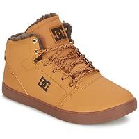 DC Shoes CRISIS HIGH WNT boys\'s Children\'s Shoes (High-top Trainers) in BEIGE