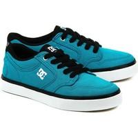 DC Shoes Nyjah Vulc TX men\'s Shoes (Trainers) in blue