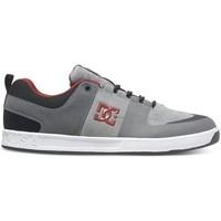 DC Shoes LYNX PRESTIGE men\'s Shoes (Trainers) in grey