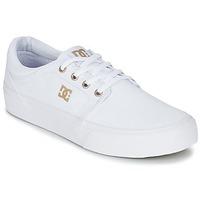 DC Shoes TRASE TX J SHOE WG5 women\'s Shoes (Trainers) in white