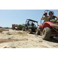 Desert Tour from Tel Aviv with Camel and Buggy Ride