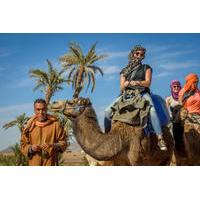Desert and Palm Grove Camel Ride from Marrakech Including Moroccan Tea and Snack
