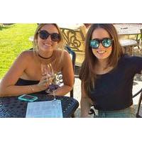 deliciously fun educational wine tours in paso robles