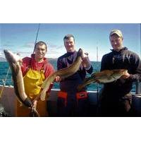 Deep Sea Angling in Connemara - 1-Day Guided Fishing Tour from Clifden