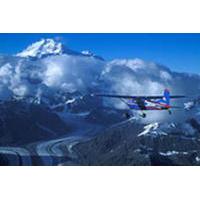 Denali National Park Flightseeing Tour from Talkeetna