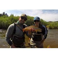 Denver Fly Fishing Wade Trip