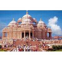 Delhi Temple Tour in a Private V...