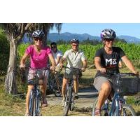 deluxe full day marlborough wine region guided bike tour