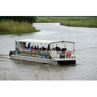 Delta Wildlife Eco Boat Tour