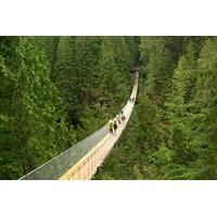 Deluxe Vancouver City and Great Outdoors Private Tour