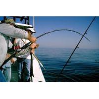 Deep Sea Fishing Off the Coast of Dubai