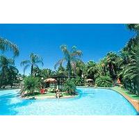 Desert Palms Alice Springs